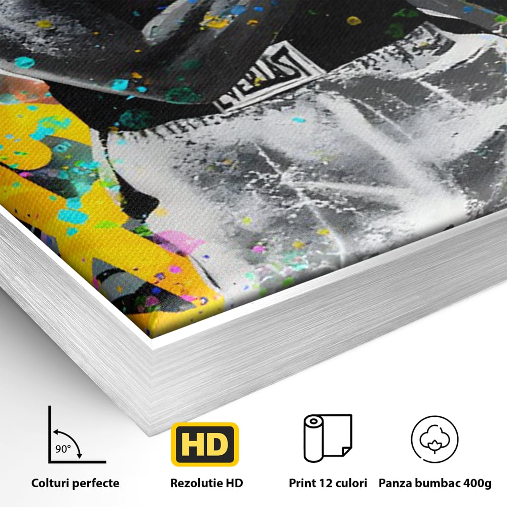 Tablou Canvas Premium LuxCanva® C1114, Marele Muhammad Ali , Culori, Muhammad Ali, Sportiv, GOAT, Game Room, Bar, Relaxare, Culori Vibrante