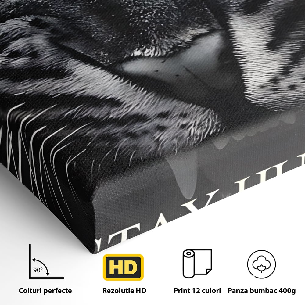 Tablou Canvas Premium LuxCanva® C1125, Scary Lion , Culori, Regele Junglei, Mesaj Motivational, Living Room, Bar, Relaxare, Culori Vibrante