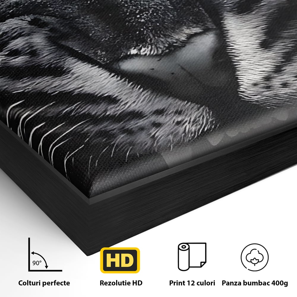 Tablou Canvas Premium LuxCanva® C1125, Scary Lion , Culori, Regele Junglei, Mesaj Motivational, Living Room, Bar, Relaxare, Culori Vibrante
