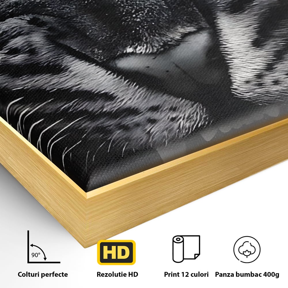 Tablou Canvas Premium LuxCanva® C1125, Scary Lion , Culori, Regele Junglei, Mesaj Motivational, Living Room, Bar, Relaxare, Culori Vibrante