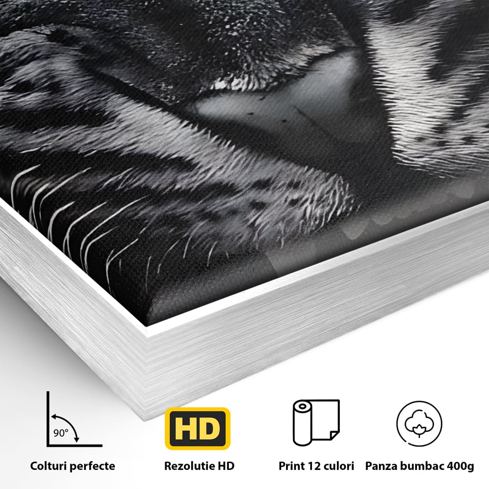 Tablou Canvas Premium LuxCanva® C1125, Scary Lion , Culori, Regele Junglei, Mesaj Motivational, Living Room, Bar, Relaxare, Culori Vibrante