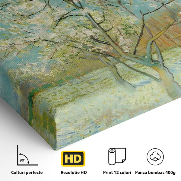 Tablou Canvas Premium LuxCanva® C1158, Copac Inflorit Primavara , Culori, Natura, Flori, Anotimp, Living Room, Relaxare, Culori Vibrante