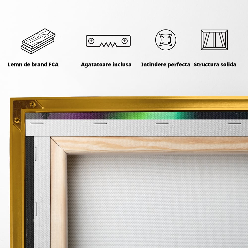 Tablou Canvas Premium LuxCanva® C1168, Aurora Boreala , Culori, Natura, Polul Nord, Bar, Relaxare, Culori Vibrante