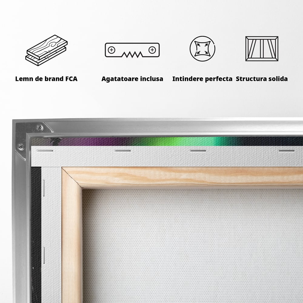 Tablou Canvas Premium LuxCanva® C1168, Aurora Boreala , Culori, Natura, Polul Nord, Bar, Relaxare, Culori Vibrante