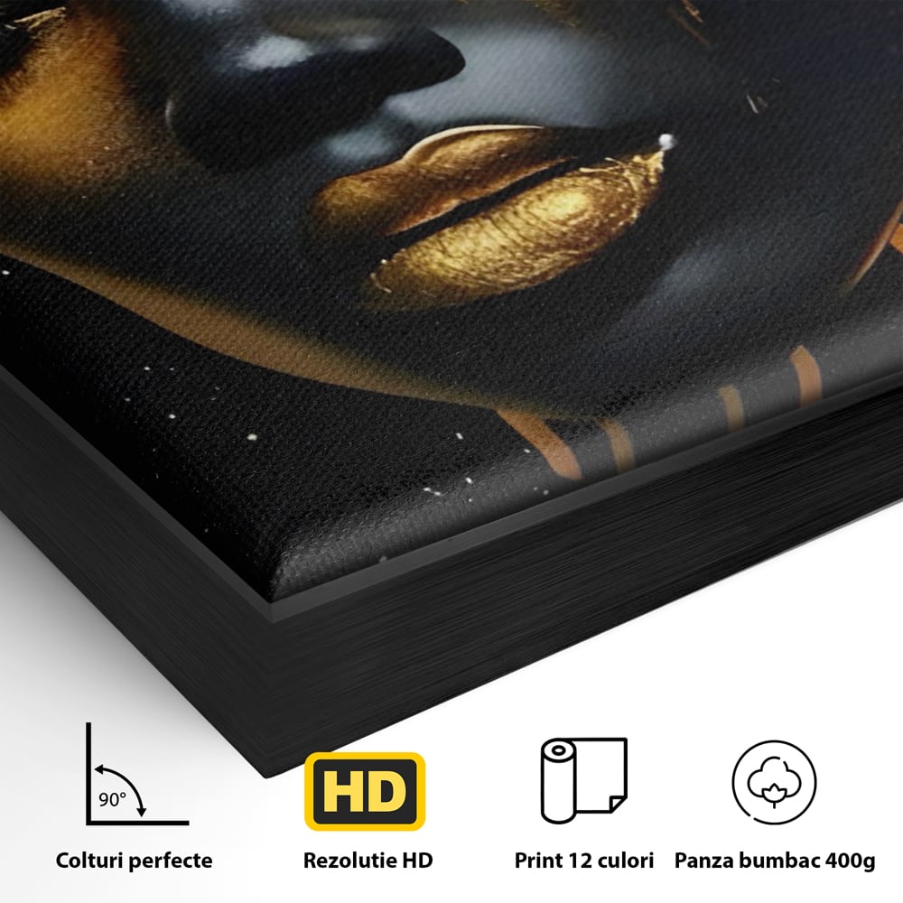 LuxCanva Premium-Leinwandkunst® C1169, Afrikanische Schönheit in Gold bedeckt, Farben, Mädchen, Schönheit, Wohnzimmer, Bar, entspannend, kräftige Farben