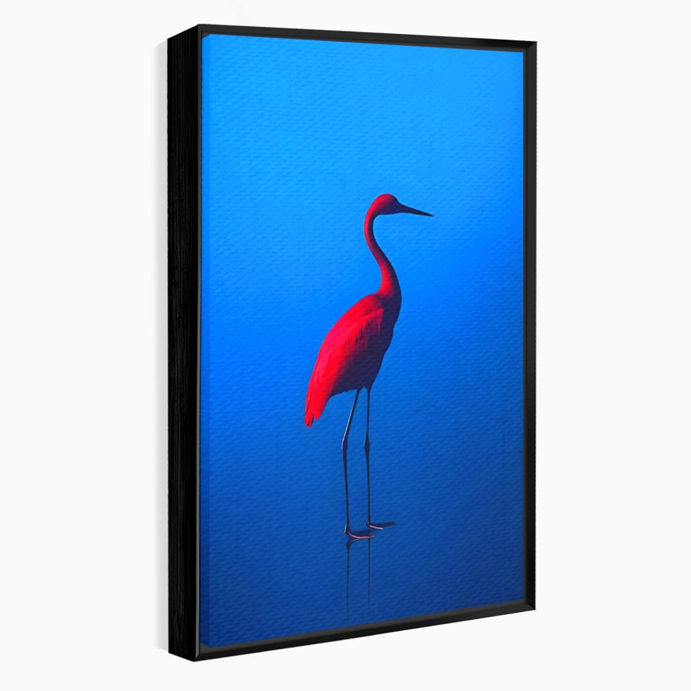 Tablou Canvas Premium LuxCanva® C1171, Red Flamingo , Culori, Nature, Animals, Freedom, Living Room, Bar, Relaxare, Culori Vibrante