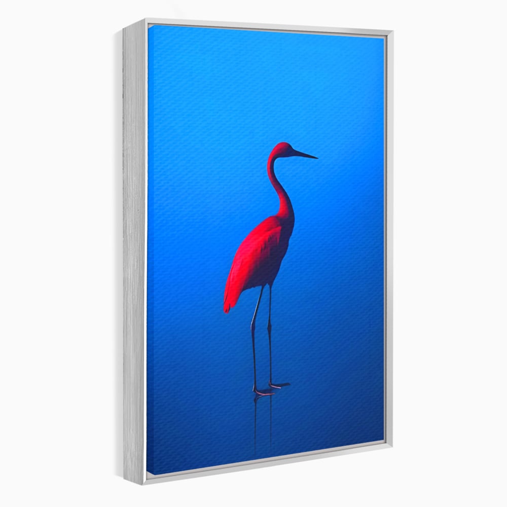 Tablou Canvas Premium LuxCanva® C1171, Red Flamingo , Culori, Nature, Animals, Freedom, Living Room, Bar, Relaxare, Culori Vibrante