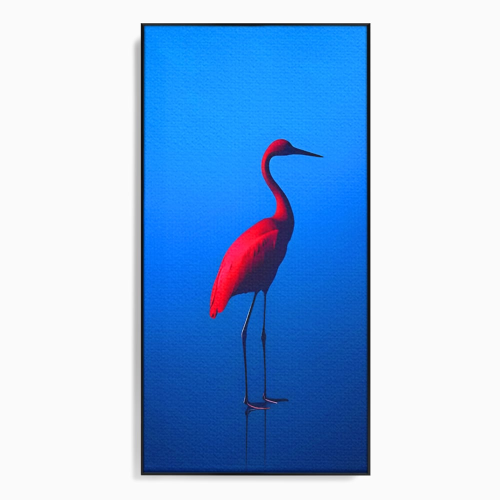 Tablou Canvas Premium LuxCanva® C1171, Red Flamingo , Culori, Nature, Animals, Freedom, Living Room, Bar, Relaxare, Culori Vibrante
