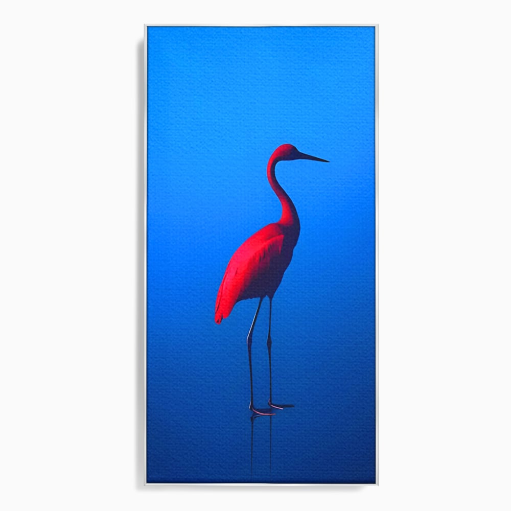 Tablou Canvas Premium LuxCanva® C1171, Red Flamingo , Culori, Nature, Animals, Freedom, Living Room, Bar, Relaxare, Culori Vibrante