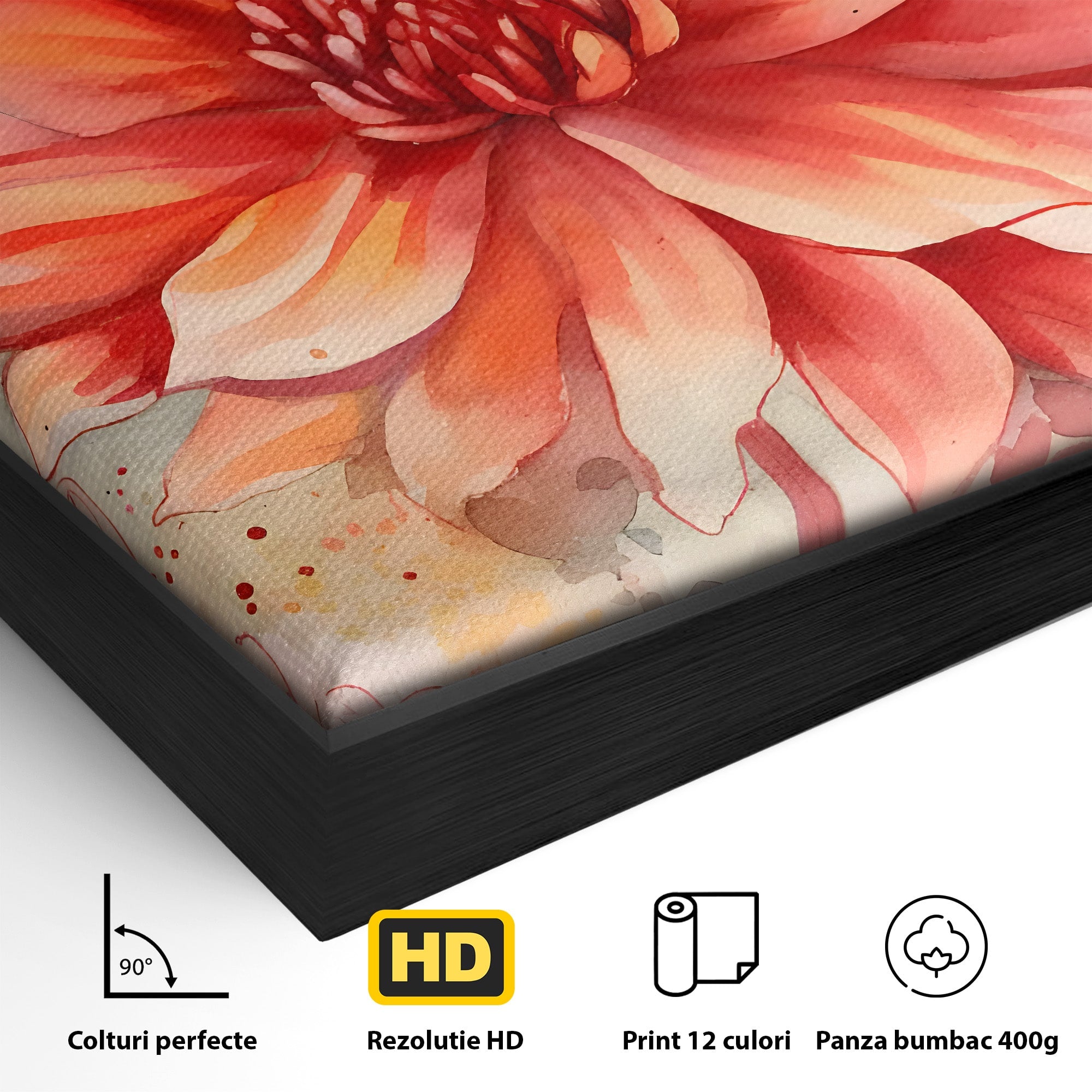 Tablou Canvas Premium LuxCanva® C1172, Floare De Foc, Floare, Arta Abstracta, Natura, Dormitor, Living, Culori Vibrante