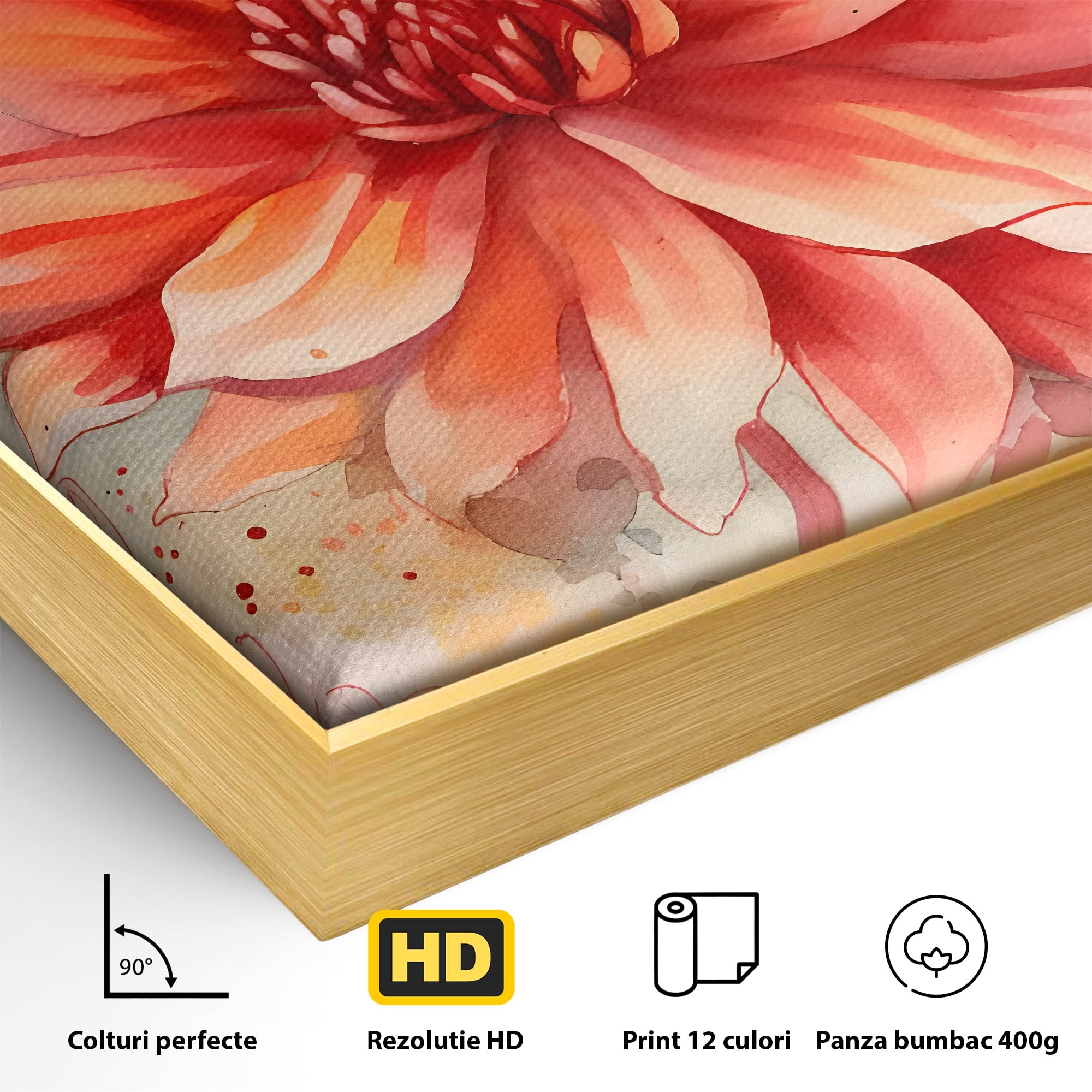 Tablou Canvas Premium LuxCanva® C1172, Floare De Foc, Floare, Arta Abstracta, Natura, Dormitor, Living, Culori Vibrante