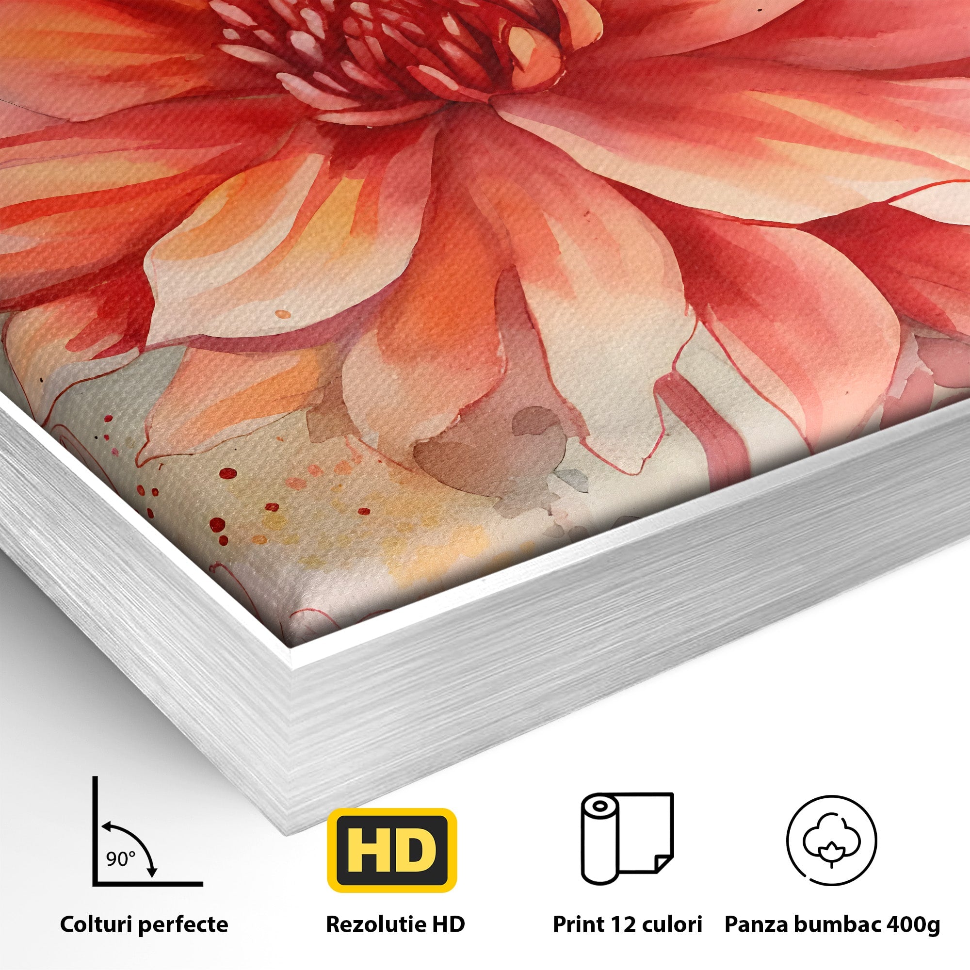 Tablou Canvas Premium LuxCanva® C1172, Floare De Foc, Floare, Arta Abstracta, Natura, Dormitor, Living, Culori Vibrante