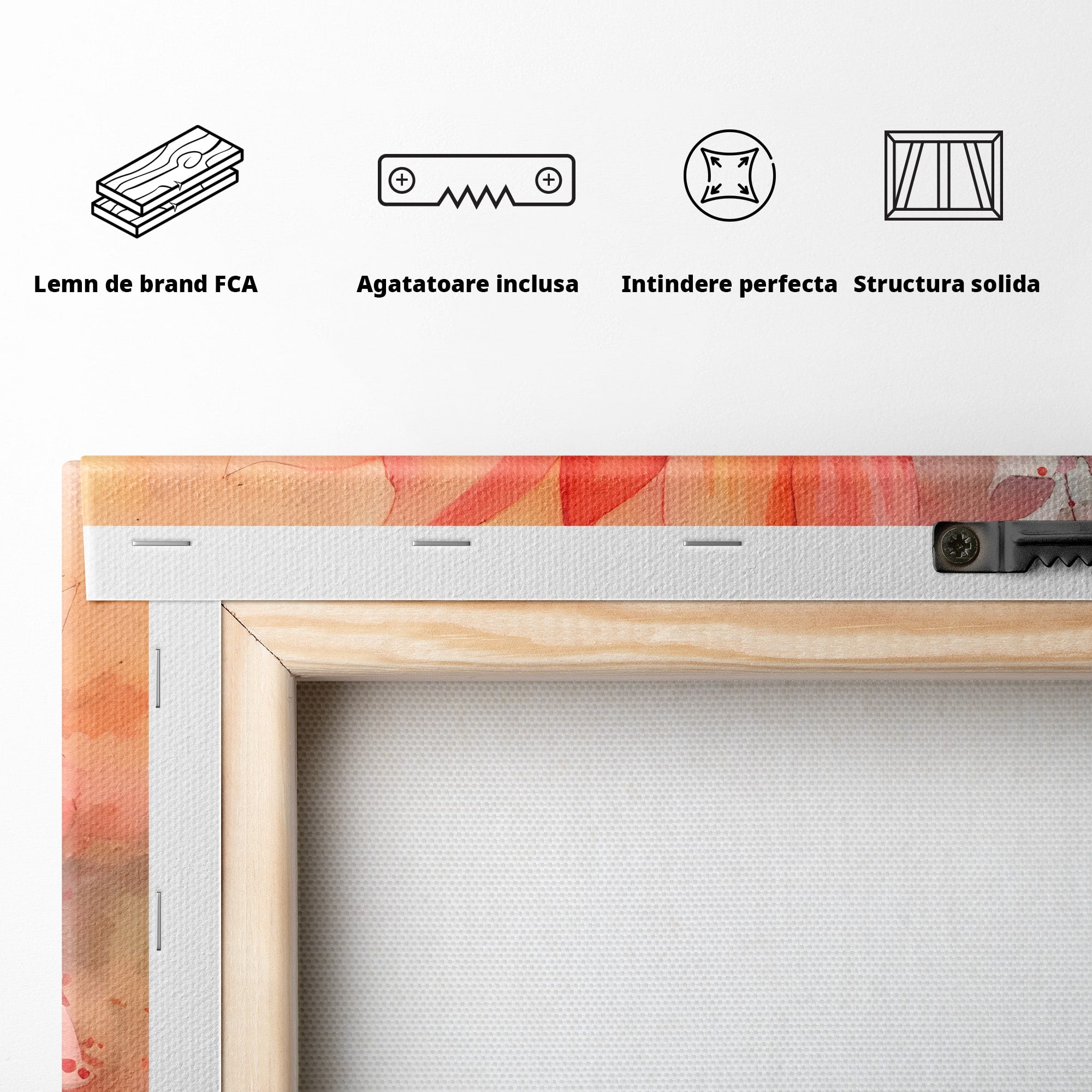 Tablou Canvas Premium LuxCanva® C1172, Floare De Foc, Floare, Arta Abstracta, Natura, Dormitor, Living, Culori Vibrante
