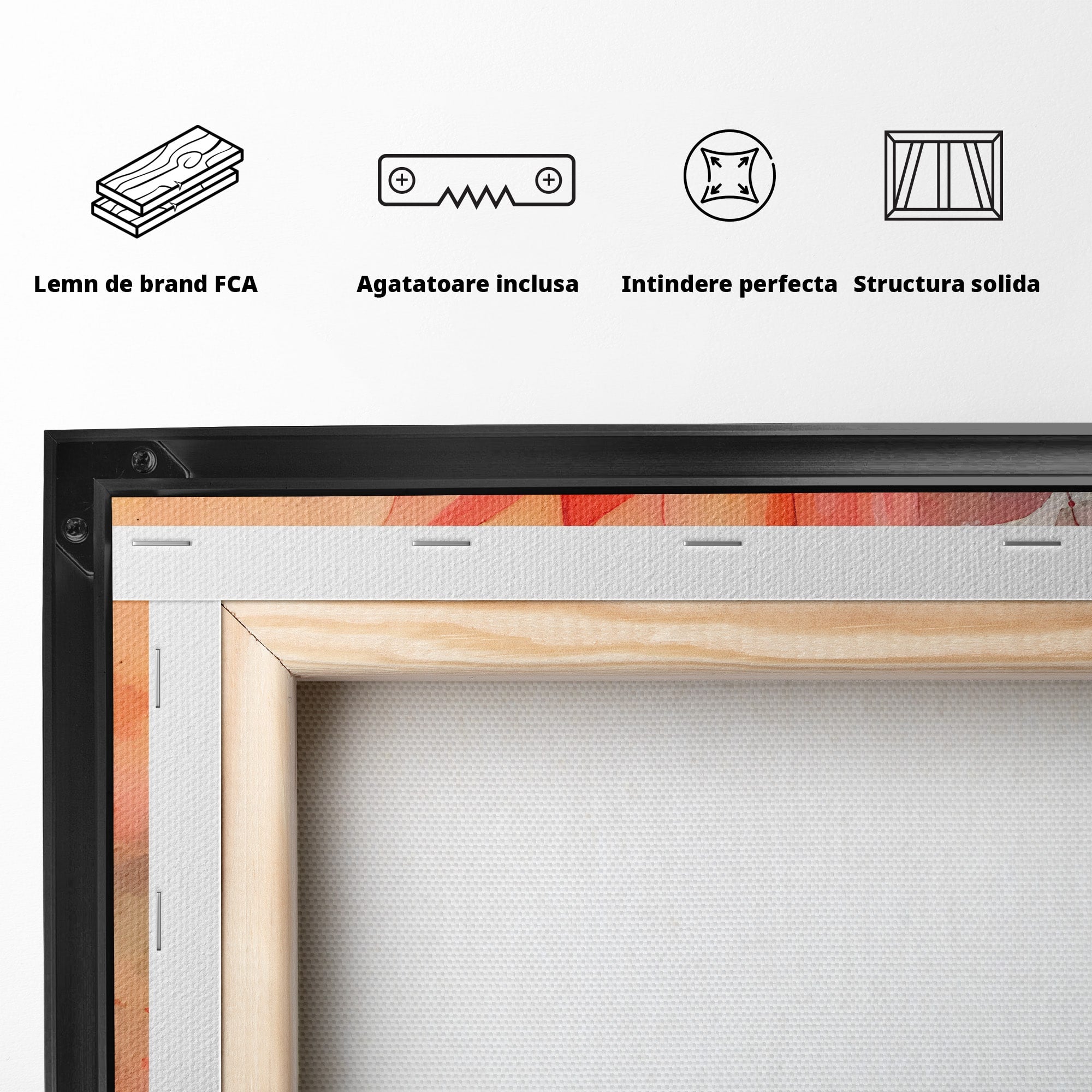 Tablou Canvas Premium LuxCanva® C1172, Floare De Foc, Floare, Arta Abstracta, Natura, Dormitor, Living, Culori Vibrante