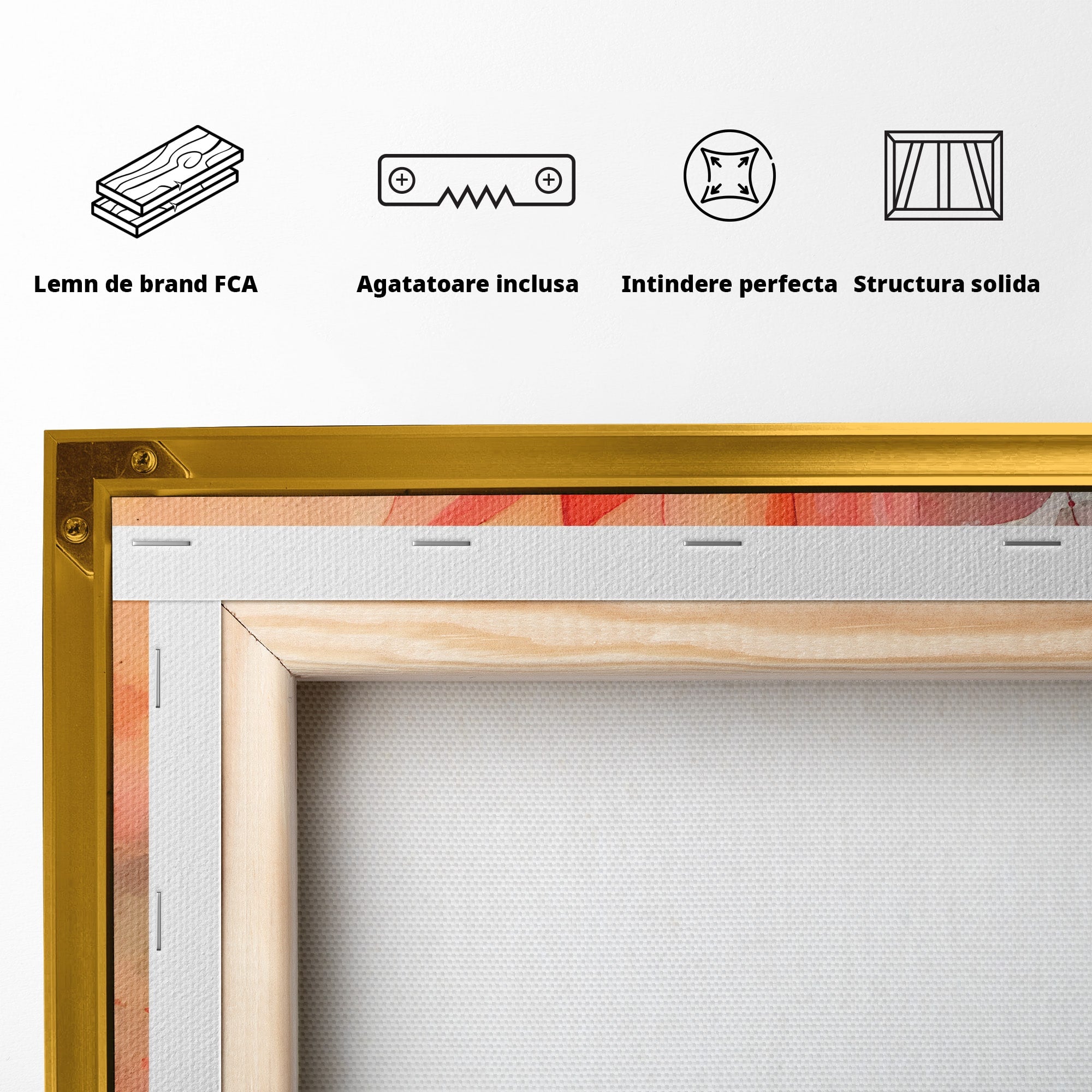 Tablou Canvas Premium LuxCanva® C1172, Floare De Foc, Floare, Arta Abstracta, Natura, Dormitor, Living, Culori Vibrante
