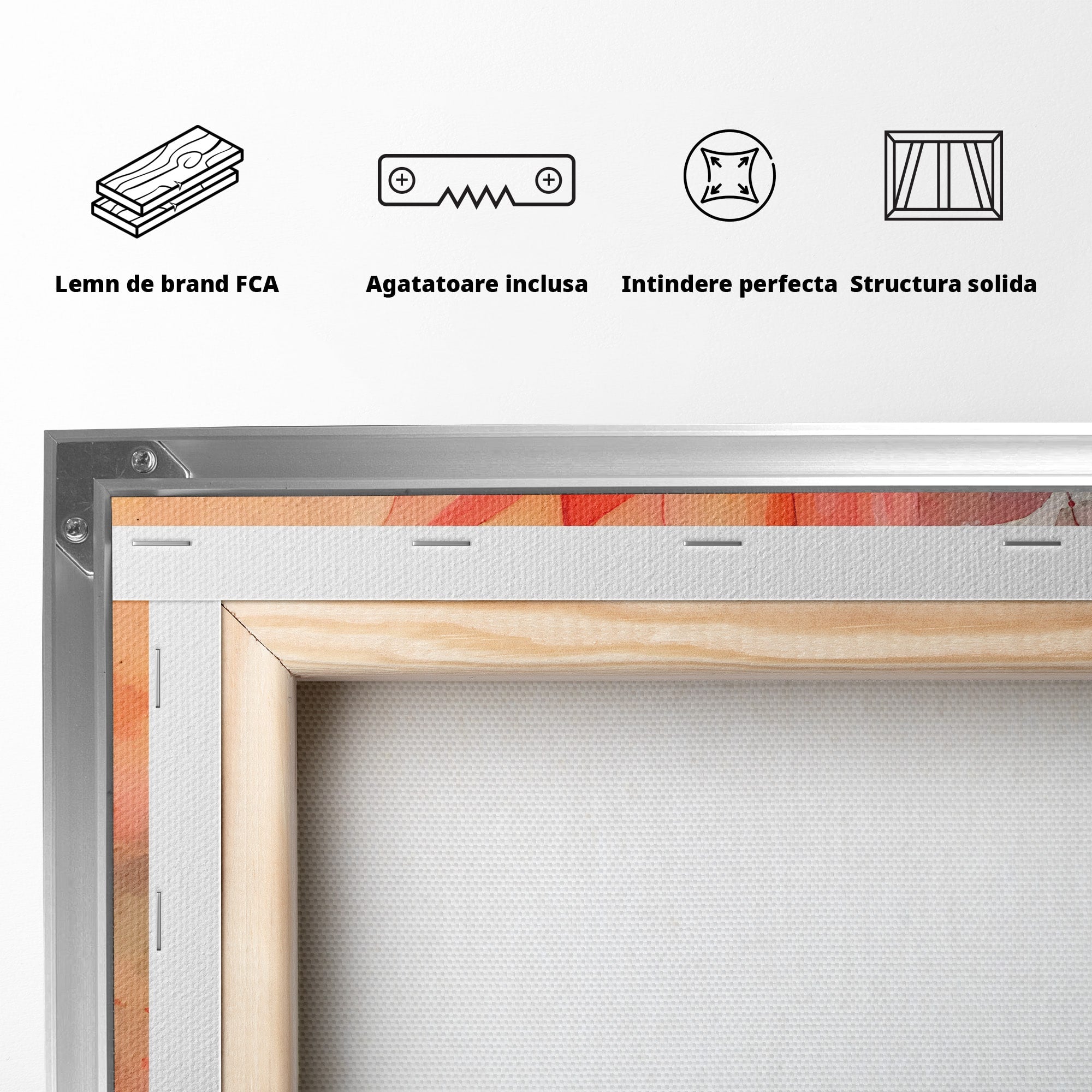 Tablou Canvas Premium LuxCanva® C1172, Floare De Foc, Floare, Arta Abstracta, Natura, Dormitor, Living, Culori Vibrante