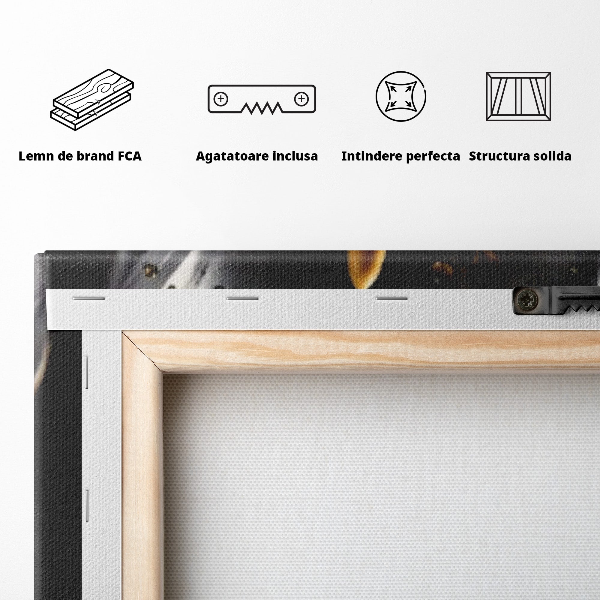 Tablou Canvas Premium LuxCanva® C1174, Floare Eleganta, Floare, Eleganta, Arta, Dormitor, Living, Culori Vibrante