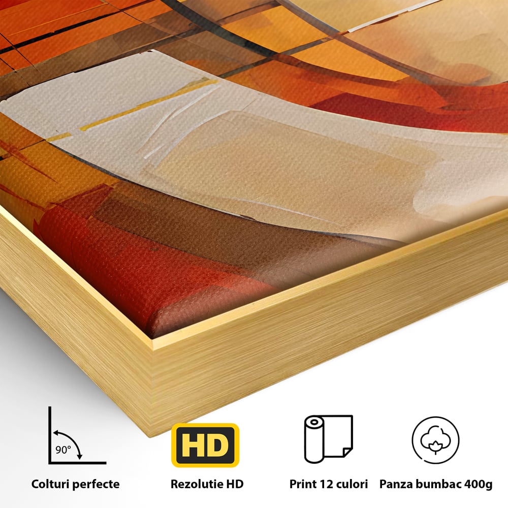 Tablou Canvas Premium LuxCanva® C1191, Pictura Forme Geometrice , Relaxare, Living Room, Culori Vibrante