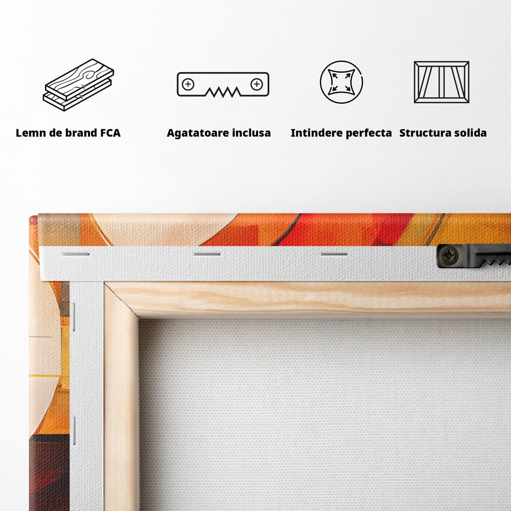 Tablou Canvas Premium LuxCanva® C1191, Pictura Forme Geometrice , Relaxare, Living Room, Culori Vibrante