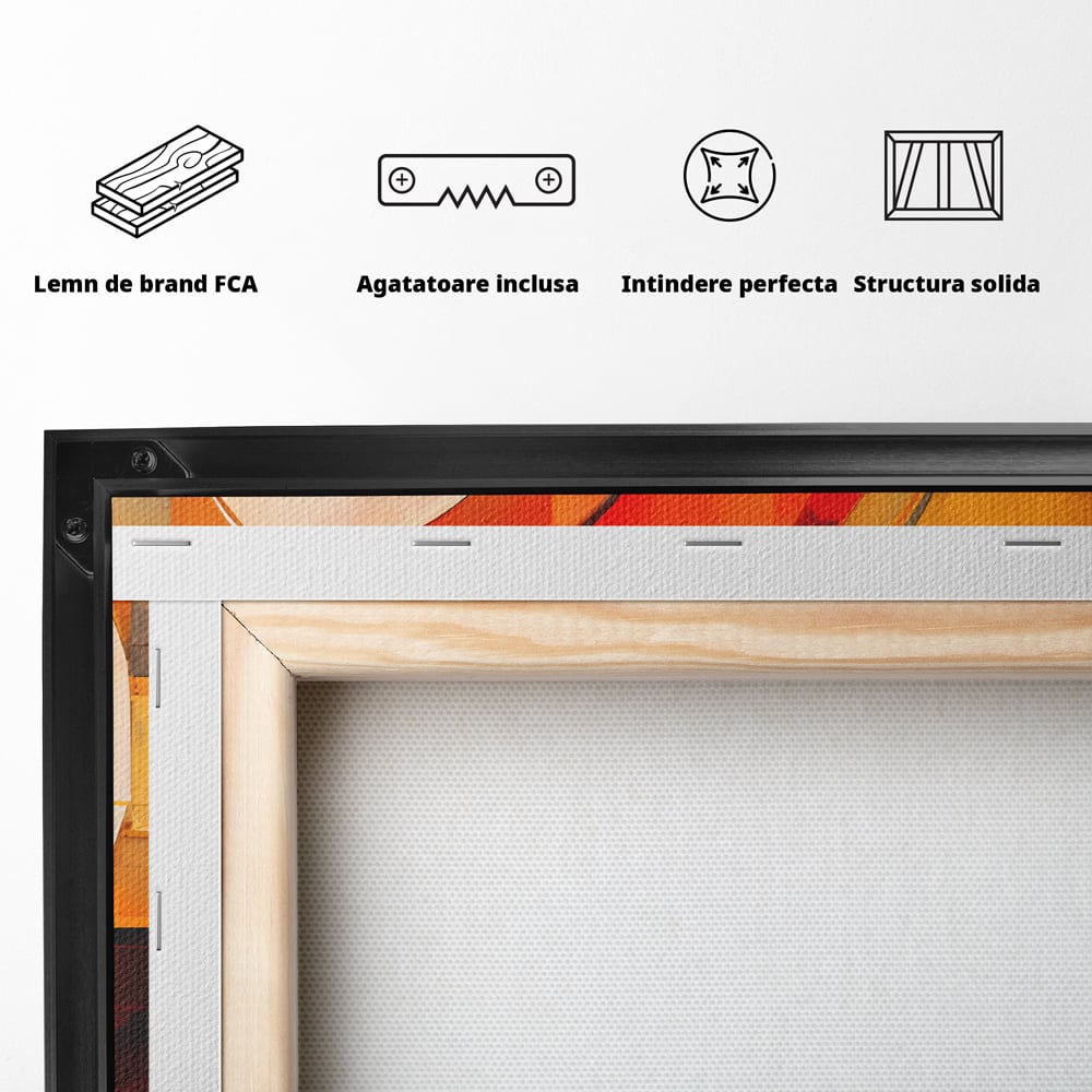 Tablou Canvas Premium LuxCanva® C1191, Pictura Forme Geometrice , Relaxare, Living Room, Culori Vibrante