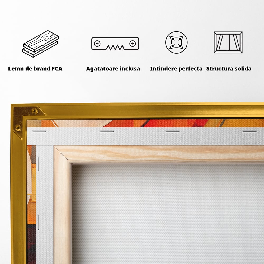 Tablou Canvas Premium LuxCanva® C1191, Pictura Forme Geometrice , Relaxare, Living Room, Culori Vibrante