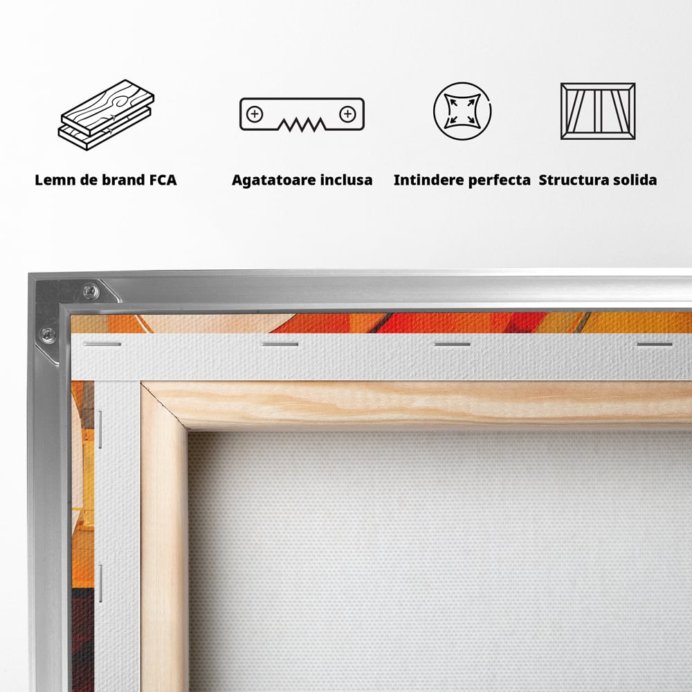 Tablou Canvas Premium LuxCanva® C1191, Pictura Forme Geometrice , Relaxare, Living Room, Culori Vibrante
