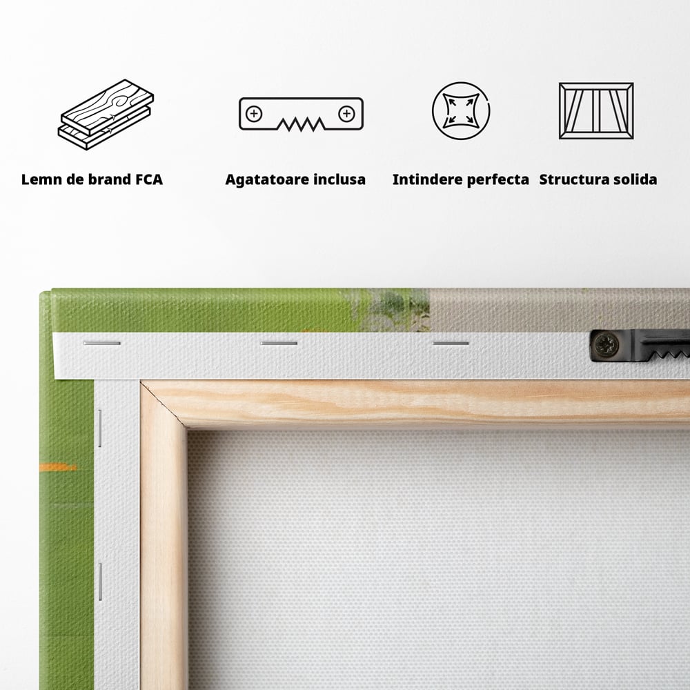 Leinwand Premium Canvas Wandkunst LuxCanva® C1201, Abstrakte Orange und Grüne Farbe , Farben, Dekorativ, Wohnzimmer, Lebendige Farben