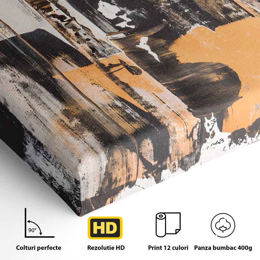 Tablou Canvas Premium LuxCanva® C1212, Abstract Paint , Culori, Decorativ, Living Room, Culori Vibrante
