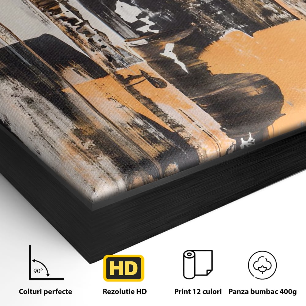 Tablou Canvas Premium LuxCanva® C1212, Abstract Paint , Culori, Decorativ, Living Room, Culori Vibrante