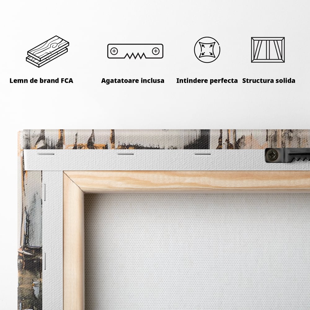 Tablou Canvas Premium LuxCanva® C1212, Abstract Paint , Culori, Decorativ, Living Room, Culori Vibrante