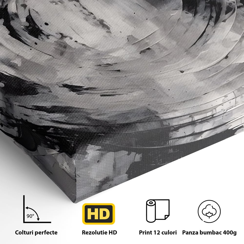 Tablou Canvas Premium LuxCanva® C1217, Abstract Round Paint , Culori, Decorativ, Living Room, Culori Vibrante