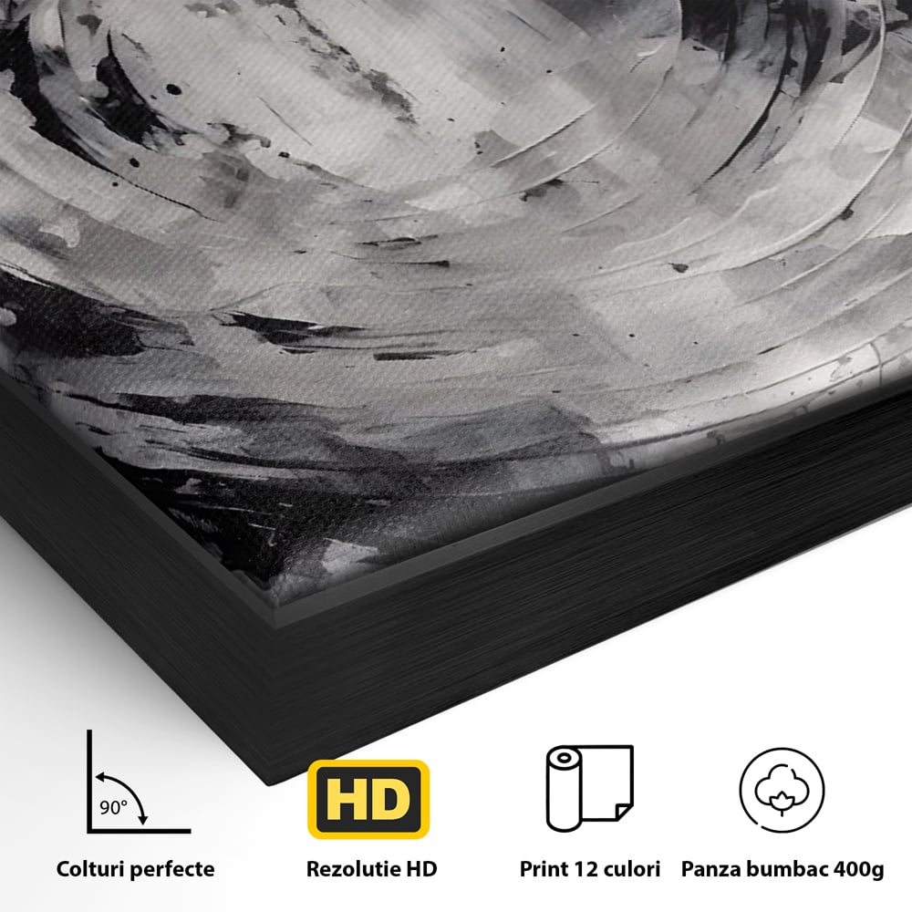Tablou Canvas Premium LuxCanva® C1217, Abstract Round Paint , Culori, Decorativ, Living Room, Culori Vibrante