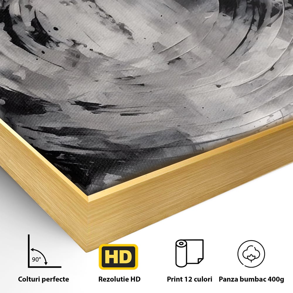 Tablou Canvas Premium LuxCanva® C1217, Abstract Round Paint , Culori, Decorativ, Living Room, Culori Vibrante