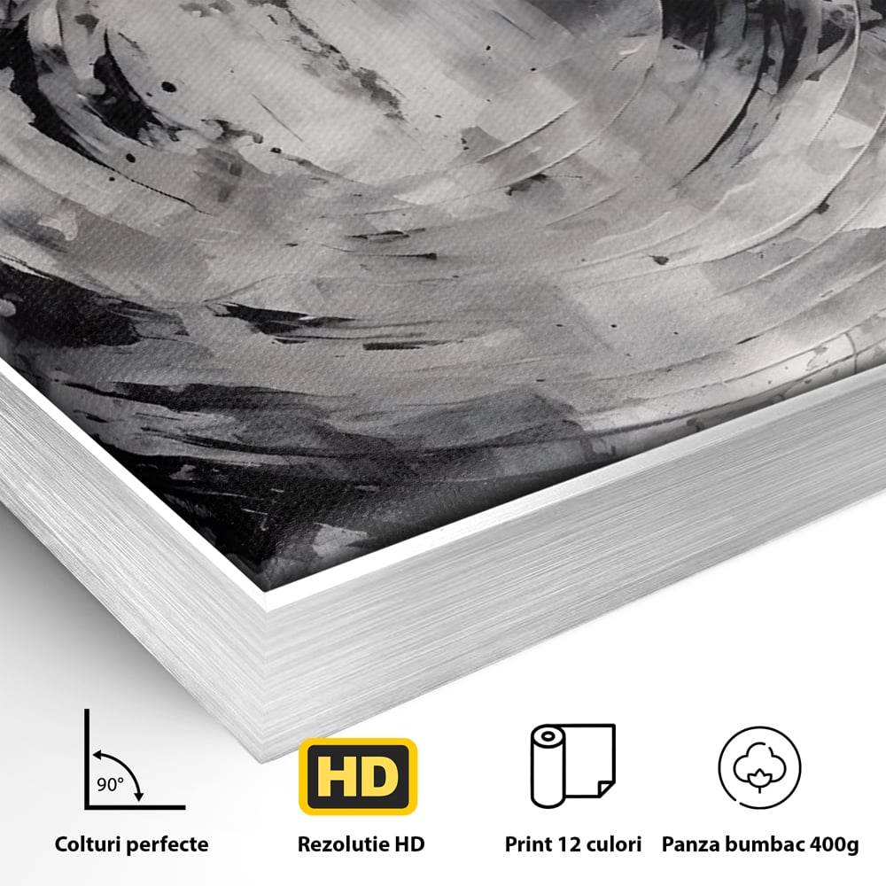 Tablou Canvas Premium LuxCanva® C1217, Abstract Round Paint , Culori, Decorativ, Living Room, Culori Vibrante