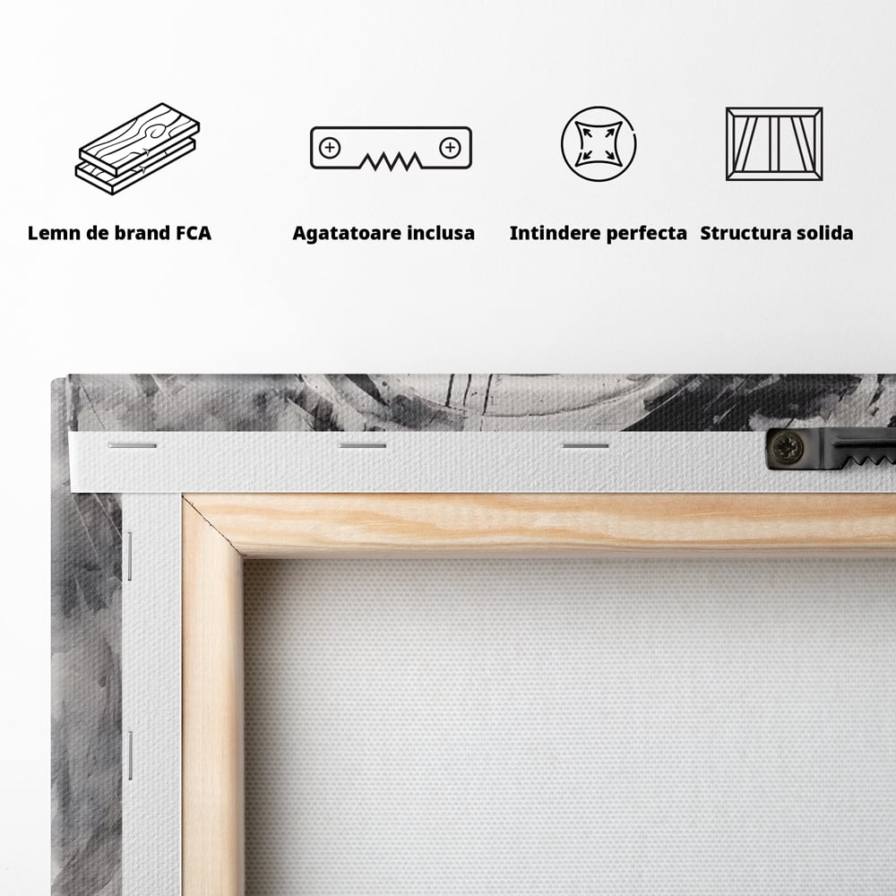 Tablou Canvas Premium LuxCanva® C1217, Abstract Round Paint , Culori, Decorativ, Living Room, Culori Vibrante