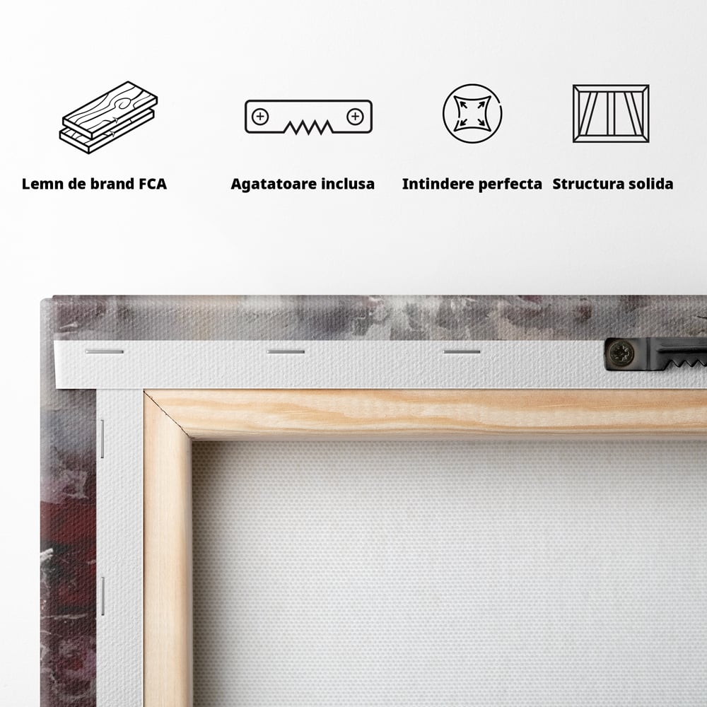Tablou Canvas Premium LuxCanva® C1221, Pete De Culoare Tablou Abstract , Relaxare, Living Room, Culori Vibrante