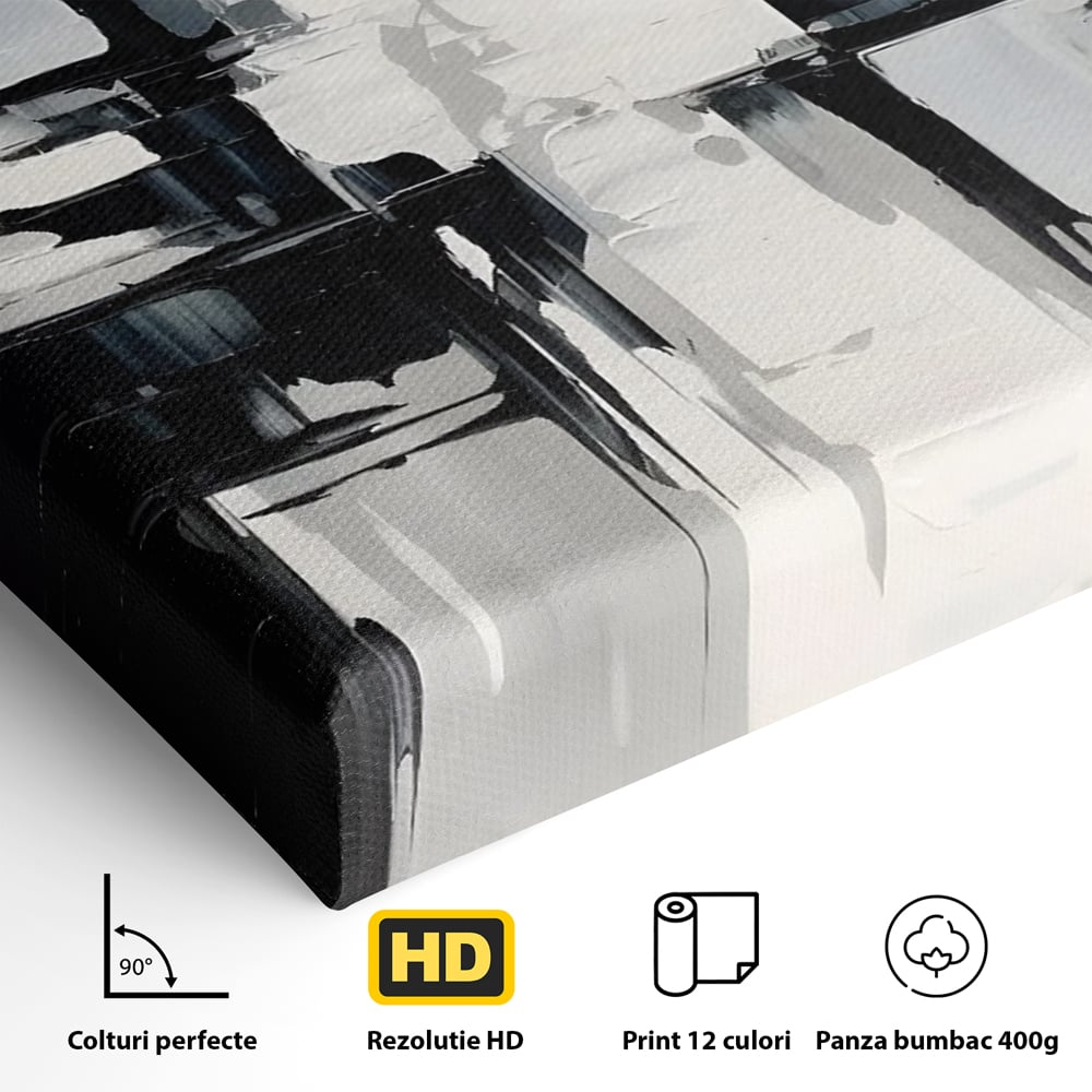 Tablou Canvas Premium LuxCanva® C1228, Abstract Black And White Painting , Culori, Decorativ, Living Room, Culori Vibrante