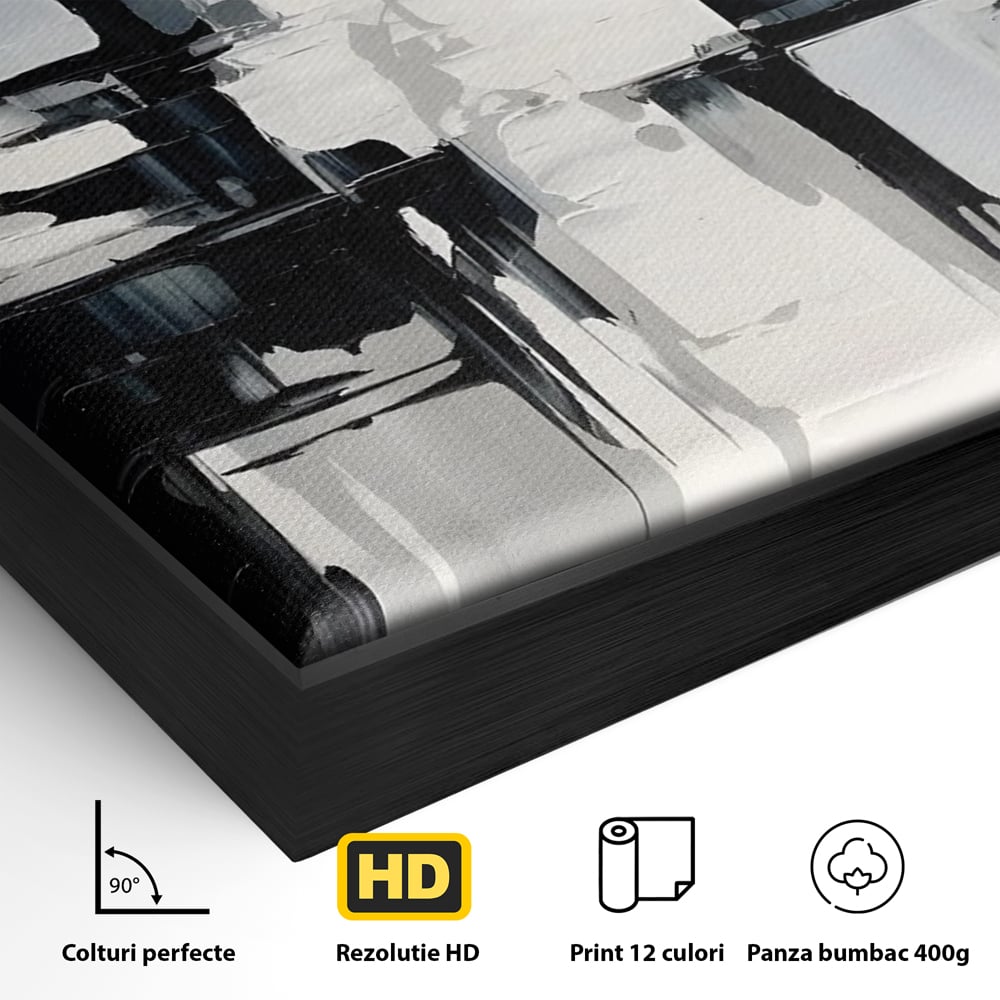 Tablou Canvas Premium LuxCanva® C1228, Abstract Black And White Painting , Culori, Decorativ, Living Room, Culori Vibrante