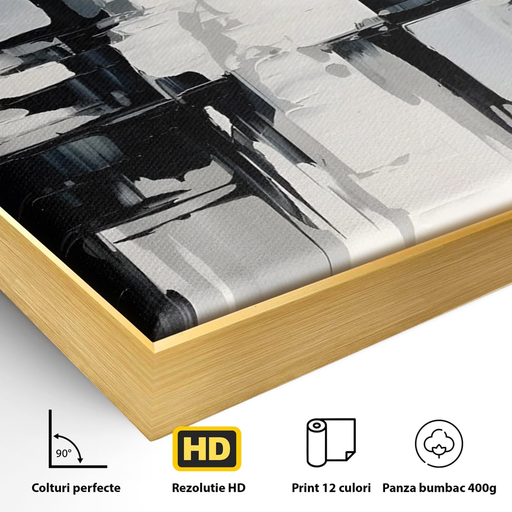 Tablou Canvas Premium LuxCanva® C1228, Abstract Black And White Painting , Culori, Decorativ, Living Room, Culori Vibrante
