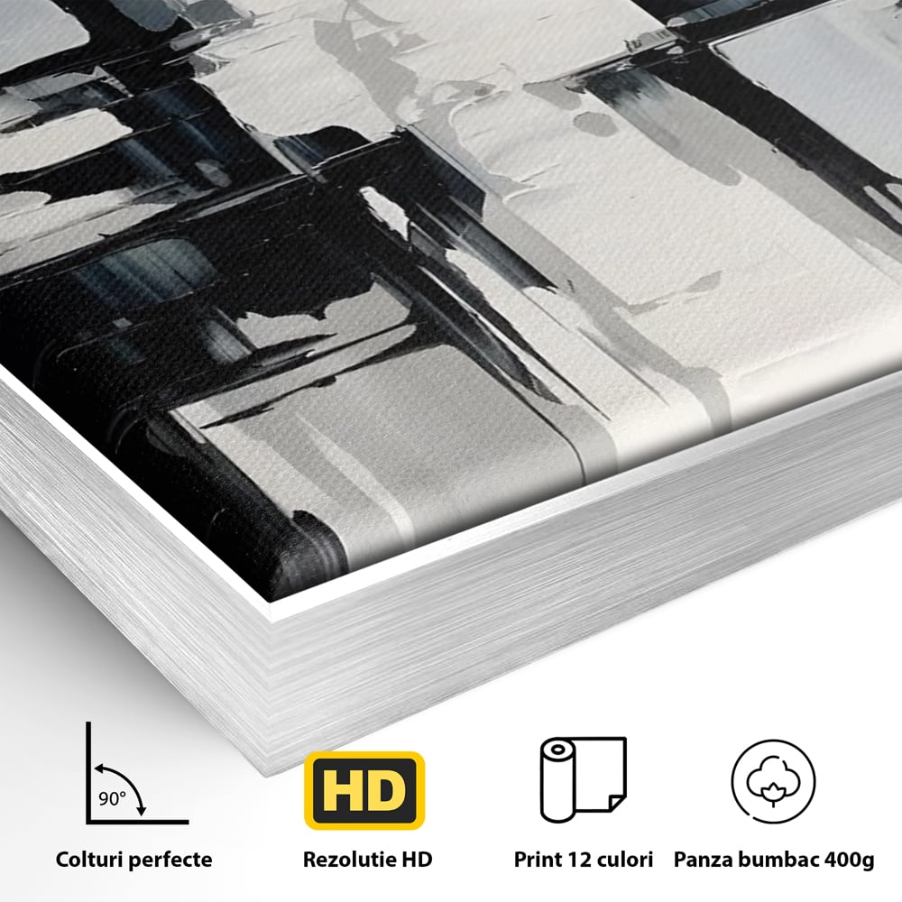 Tablou Canvas Premium LuxCanva® C1228, Abstract Black And White Painting , Culori, Decorativ, Living Room, Culori Vibrante