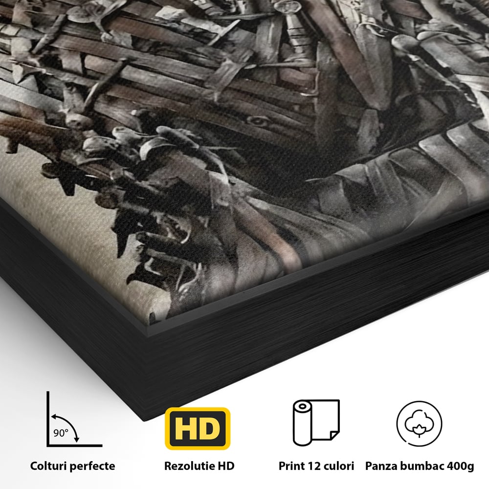 Leinwandbilder Premium, LuxCanva® C1263, Der Thron, Entspannend, Game Of Thrones, Wohnzimmer, Kräftige Farben