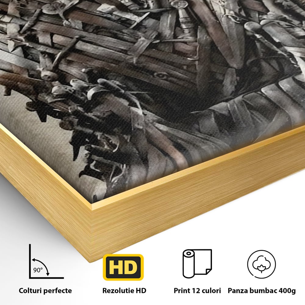 Leinwandbilder Premium, LuxCanva® C1263, Der Thron, Entspannend, Game Of Thrones, Wohnzimmer, Kräftige Farben