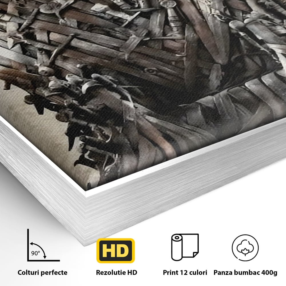 Leinwandbilder Premium, LuxCanva® C1263, Der Thron, Entspannend, Game Of Thrones, Wohnzimmer, Kräftige Farben