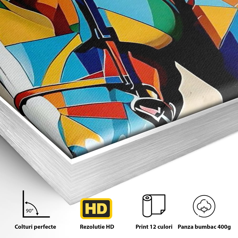 Tablou Canvas Premium, LuxCanva® C1301, Calul din lumina, Geometrie, Culori, Abstract, Armasar, Herghelie, Curcubeu, Calaret, Noblete, Forta, Gratie, Natura, Eleganta, Birou, Living, Dormitor