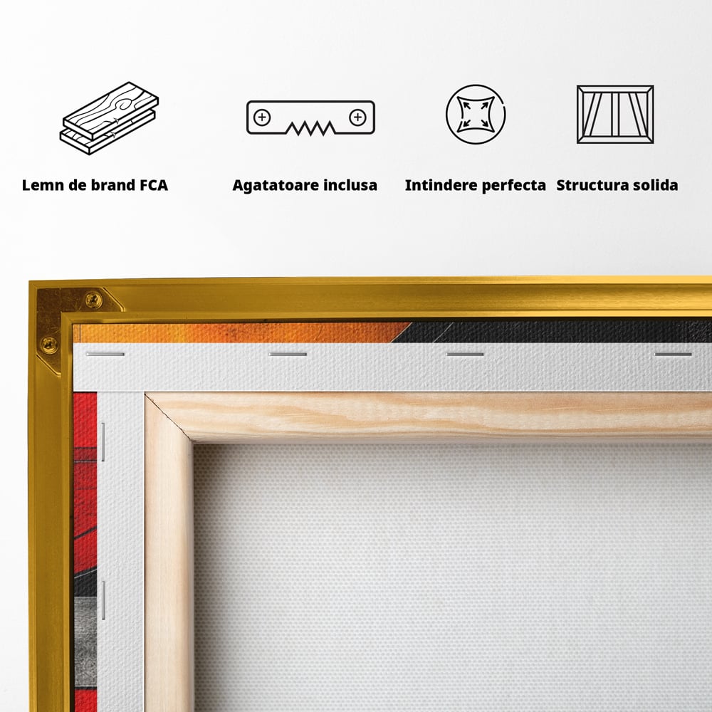 Tablou Canvas Premium, LuxCanva® C1302, Cercul care taie linistea, Geometrie, Culori, Abstract, Echilibru, Rosu, Foc, Cerc, Ars, Linii, Arhitectura, Simbol, Design, Arta, Birou, Living, Dormitor