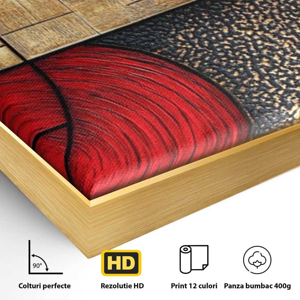Tablou Canvas Premium, LuxCanva® C1306, Ordinea pasiunii, Geometrie, Culori, Abstract, Auriu, Rosu, Negru, Minimalism, Design, Cerc, Labirint, Dorinta, Expozitie, Arta, Birou, Living, Dormitor