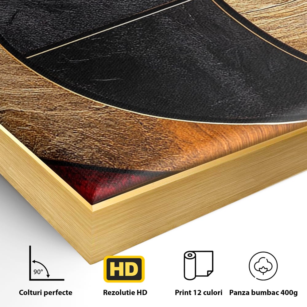 Tablou Canvas Premium, LuxCanva® C1307, Aurul Noptii, Geometrie, Culori, Abstract, Auriu, Cerc, Arc, Linii, Rosu, Asimetrie, Colectie, Galerie, Expresiv, Premium, Visare, Birou, Living, Dormitor