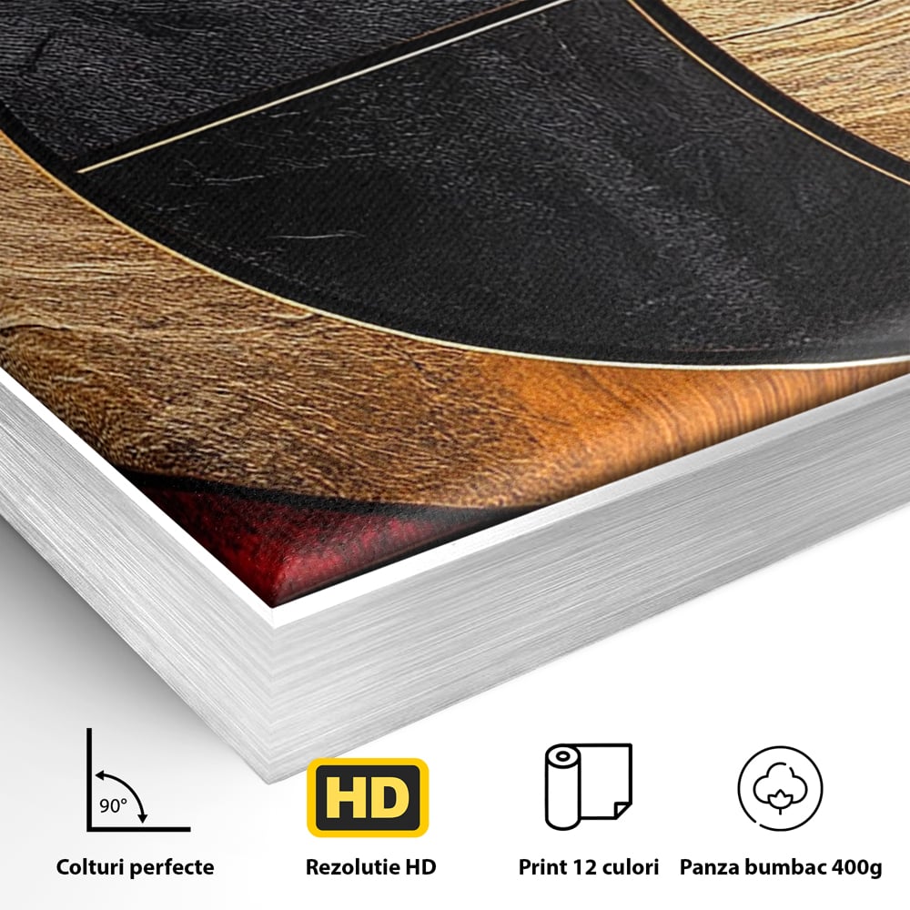 Tablou Canvas Premium, LuxCanva® C1307, Aurul Noptii, Geometrie, Culori, Abstract, Auriu, Cerc, Arc, Linii, Rosu, Asimetrie, Colectie, Galerie, Expresiv, Premium, Visare, Birou, Living, Dormitor