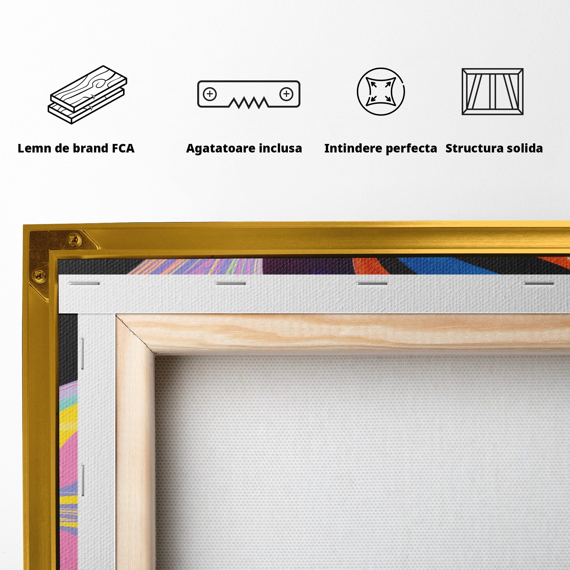 Tablou Canvas Premium LuxCanva® C1321, Universul Curcubeu, Abstract, Spatiu, Curcubeu, Living, Modern, Culori Vibrante