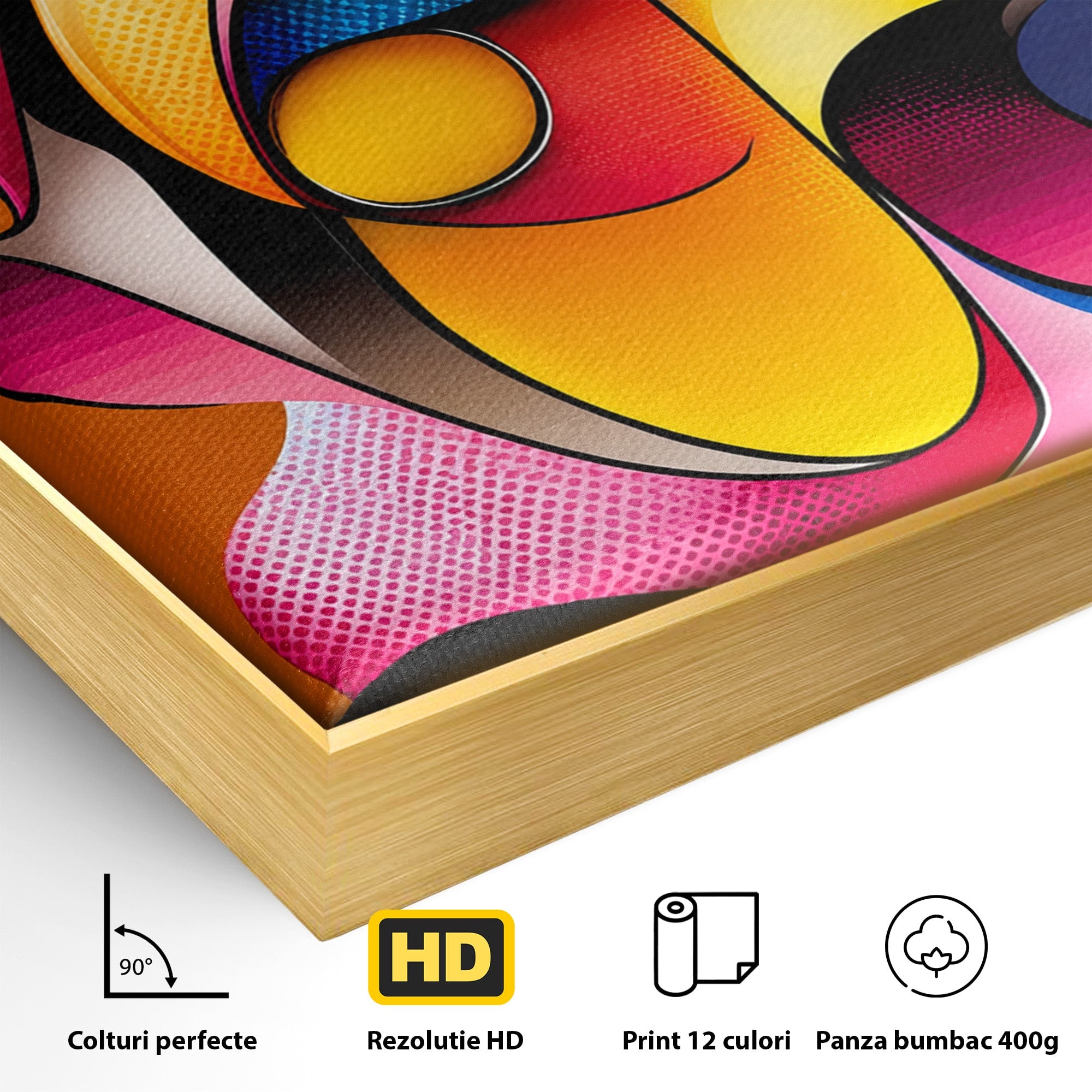 Tablou Canvas Premium LuxCanva® C1355, Abstract Dinamic, Abstract, Modern, Arta Contemporana, Energetic, Living, Culori Vibrante